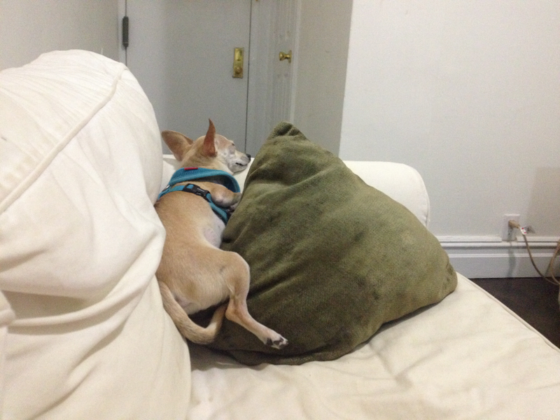 Illustration for article titled WHO DISTURBS MY SLUMBER?!?!?